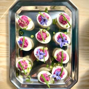 Jajka faszerowane z hummusem z buraka 10 szt