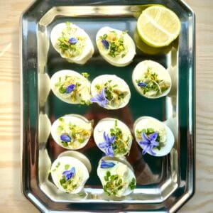 Jajka faszerowane z pastą awokado i ricotty